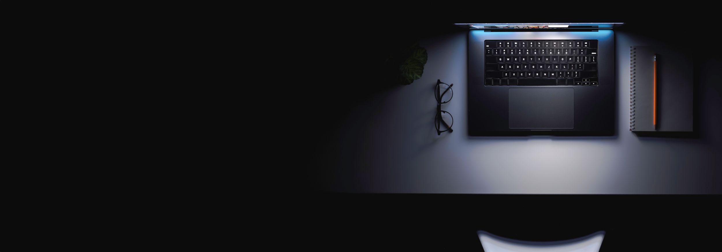 BlackSwan Resources & Insights